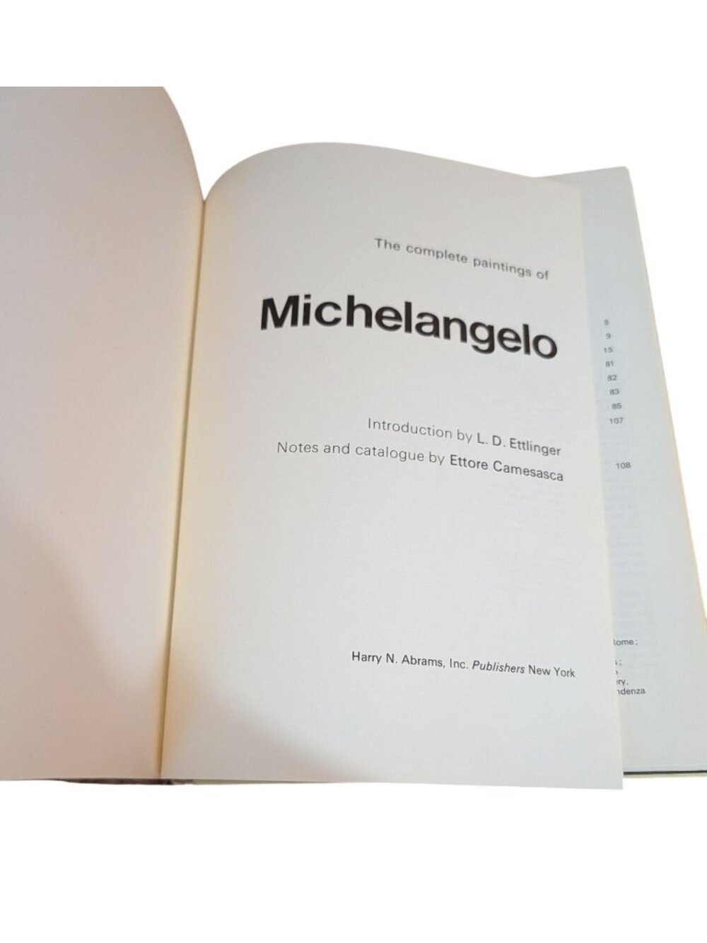 The Complete Paintings Of Michelangelo Hardcover Art Book Classics Of The Worlds - Picture 4 of 14